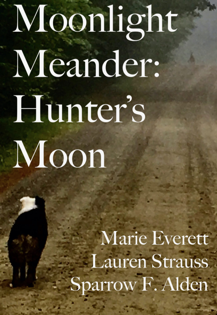 The book cover shows a Very Good Dog staring with alertness down the dirt road at a whitetail buck in the mist.  There are authors' names, but they are not as important as the Very Good Dog who watched the big buck with quiet awe and excitement.  After he bounded away into the green, deciduous woods, she told her Mommy all about it (the Mommy who snapped the photo).  